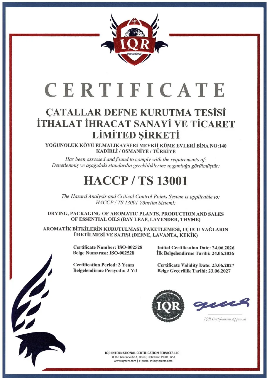 HACCP / TS 13001 — ISO-002528